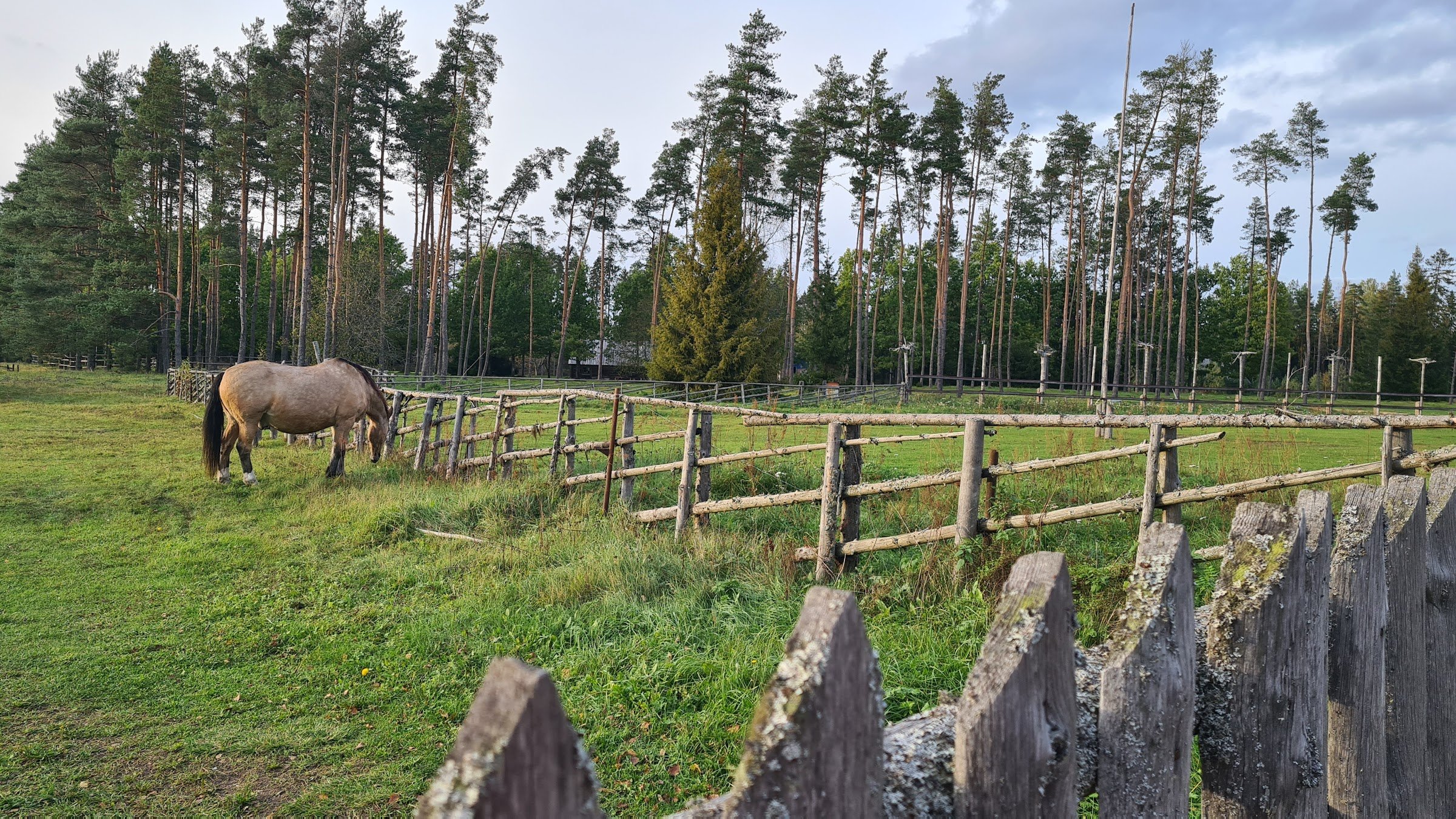 Mustjõe Kõrtsitalu